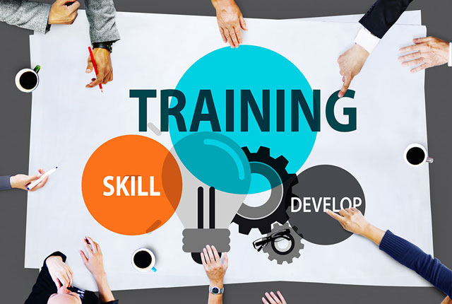 Focus on training and development to retain employees