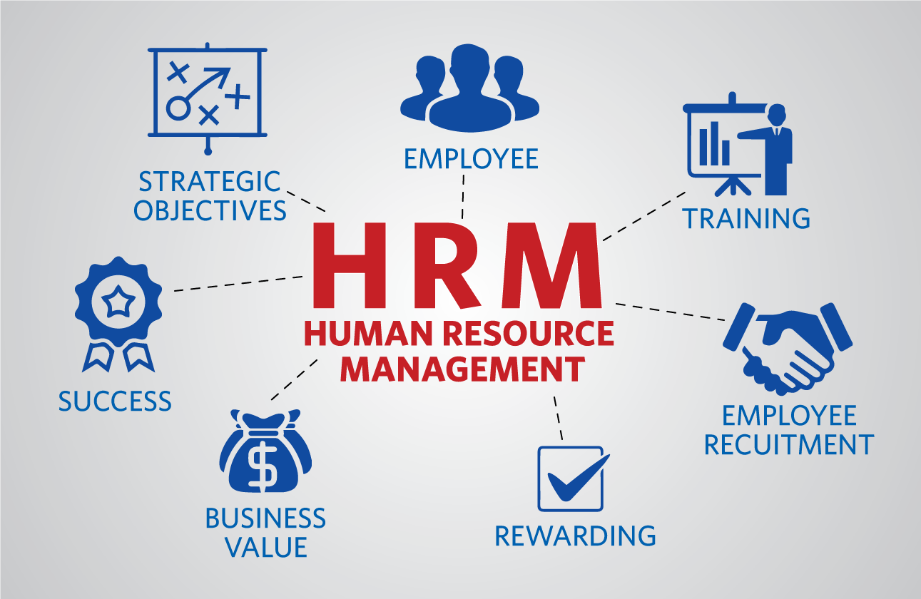 Develop a well-structured HR system