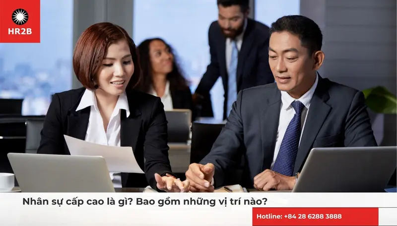Nhân sự cấp cao là gì? Bao gồm những vị trí nào?